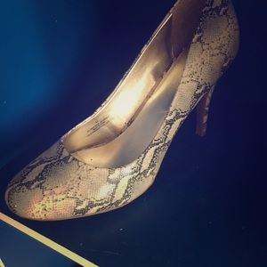 My favorite print snakeskin